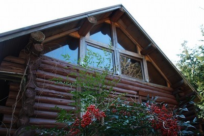 12920049-thumbnail2.jpg