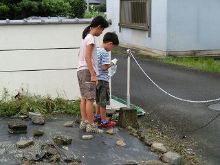 20130908 031.jpg