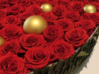 20131205 035.jpg