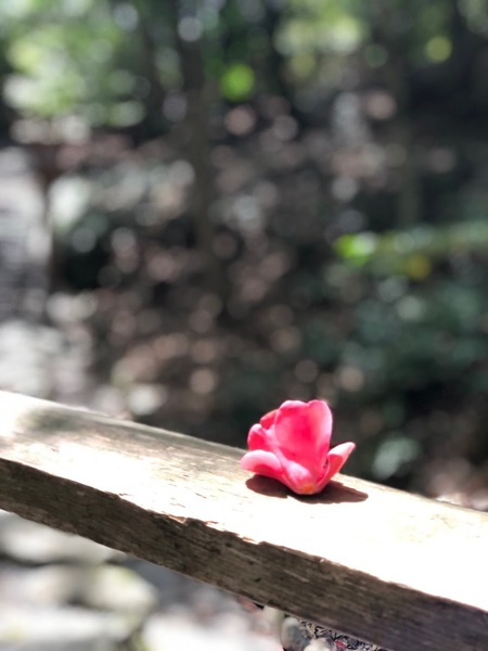 2018.0417.jpg