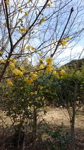 20180129125549.jpg