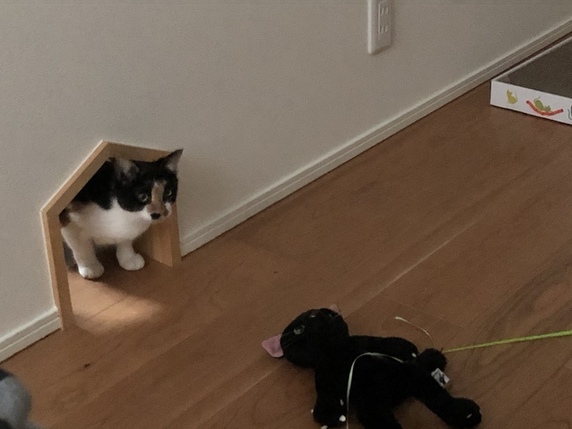 27A4DEC4-F5F2-47B1-B874-73499208563E (1).jpeg