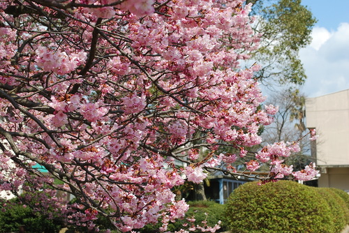 DSC_0018.JPG