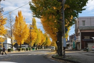 DSC_0034-thumbnail2.jpg