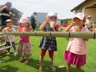 IMG_2272.jpg