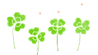 clover_014-thumbnail2.gif