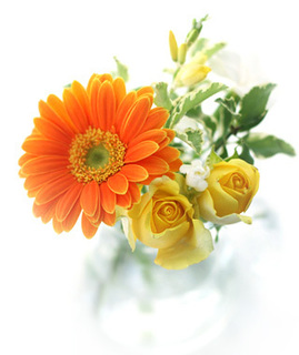 flower.jpg